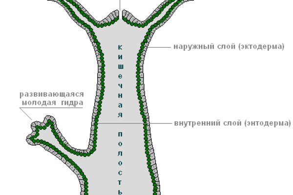 Ссылка на сайт гидра в тор браузере